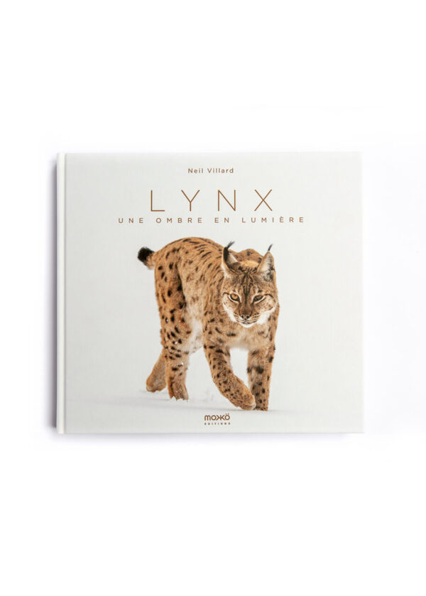 LYNX, une ombre en lumière